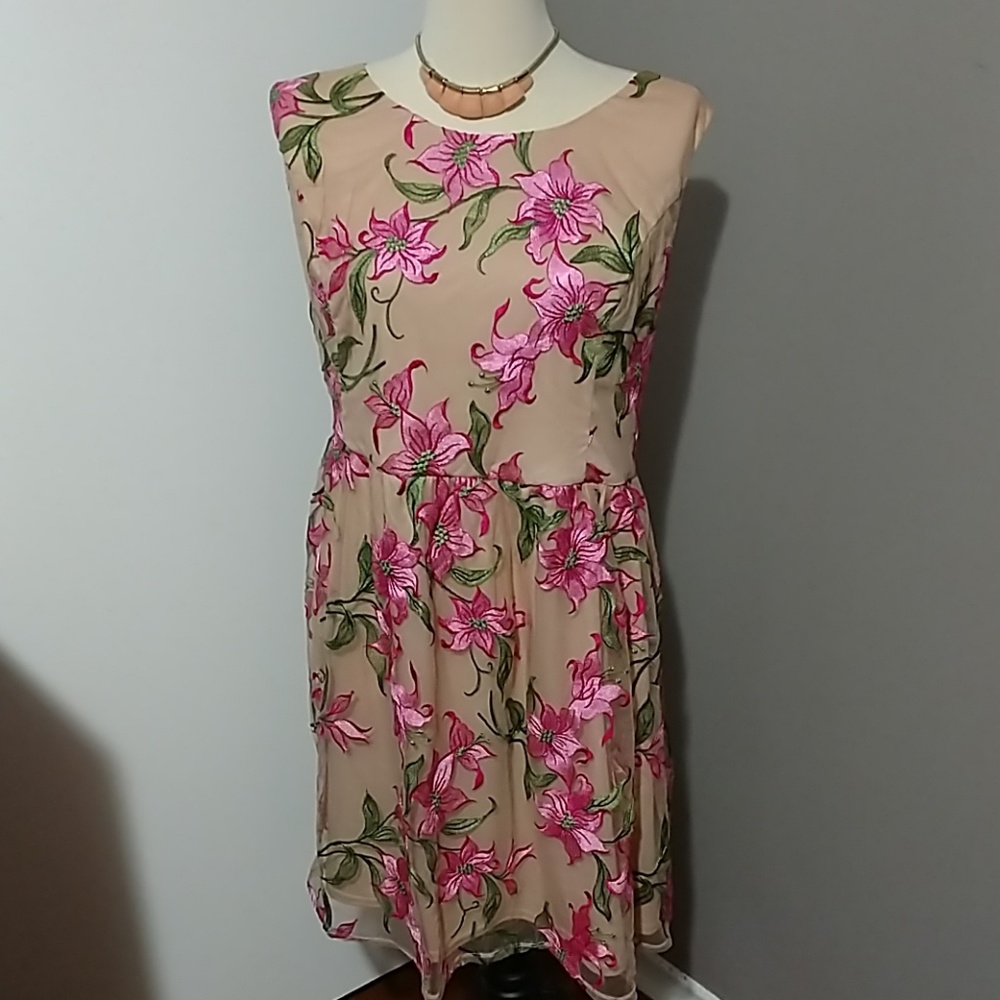 Lace & Mesh (Modcloth) embroidered fit & flare 4x